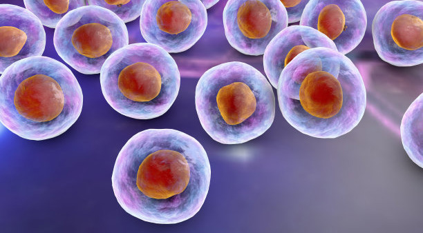 脐带间充质干细胞储存